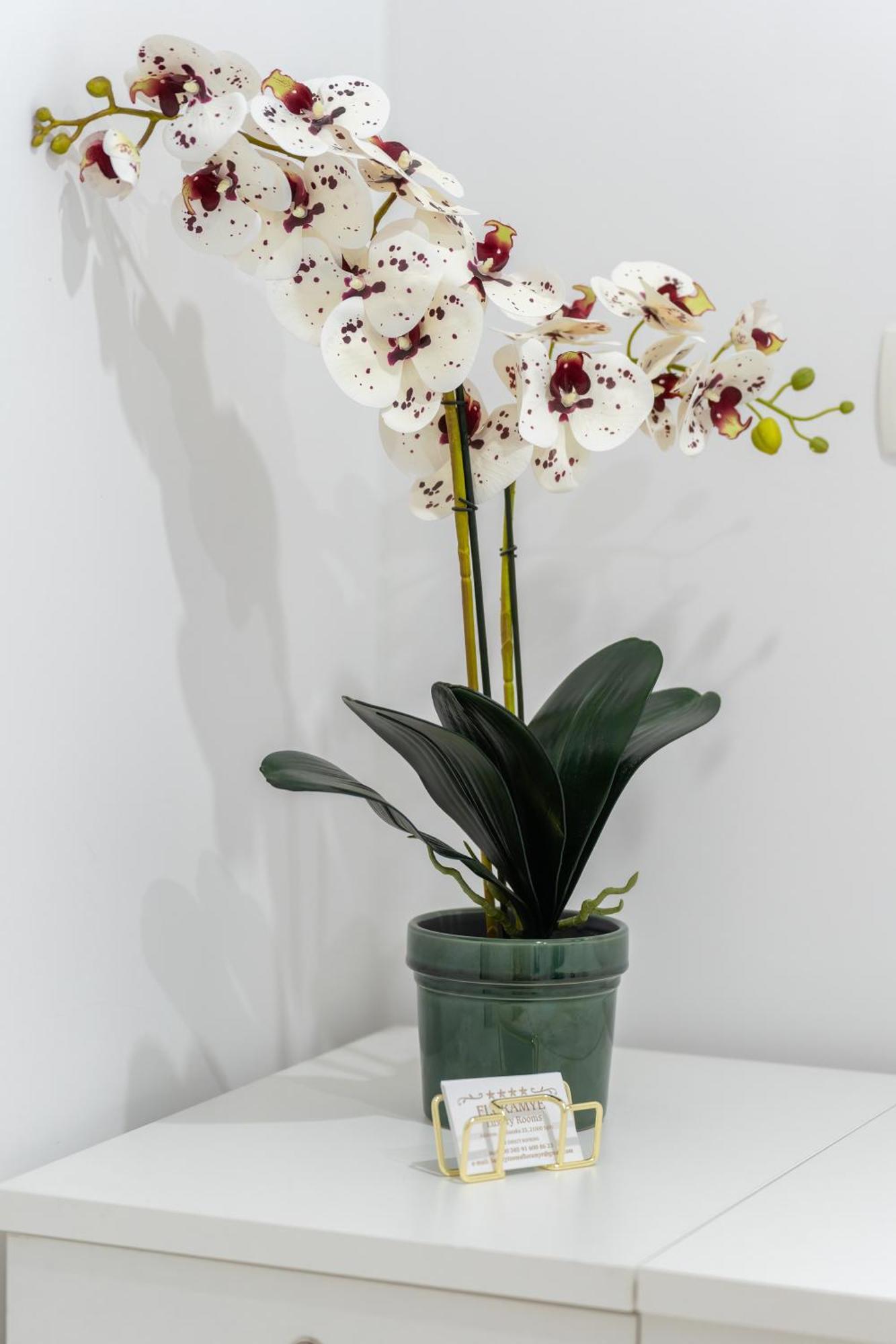 Luxury Floramye